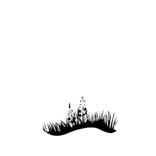 Ursa Minor Brewing Logo