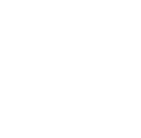 Fox Mountain Brewing